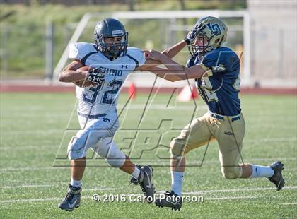 Thumbnail 1 in Chino @ Los Osos photogallery.