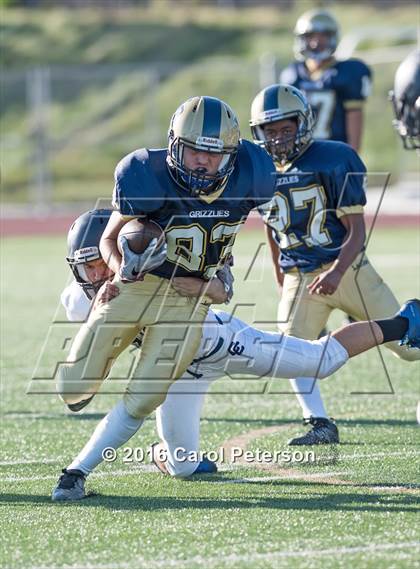 Thumbnail 1 in Chino @ Los Osos photogallery.