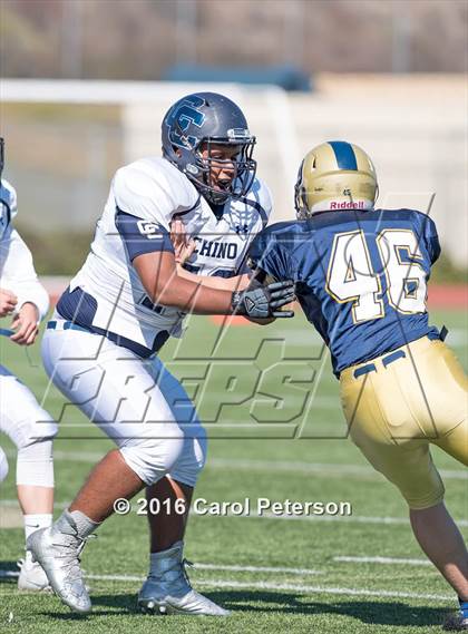 Thumbnail 1 in Chino @ Los Osos photogallery.