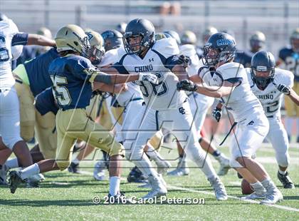 Thumbnail 1 in Chino @ Los Osos photogallery.