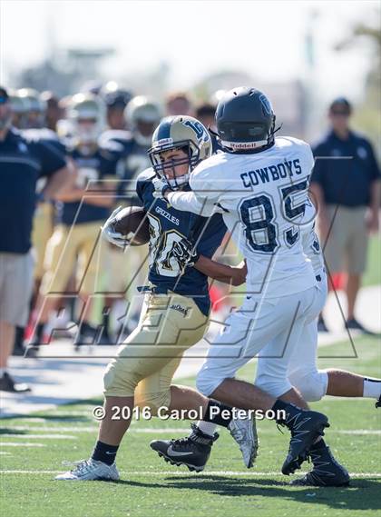 Thumbnail 1 in Chino @ Los Osos photogallery.