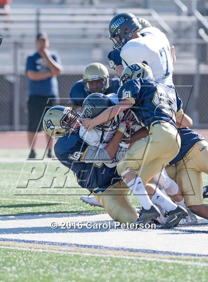 Thumbnail 2 in Chino @ Los Osos photogallery.