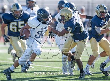 Thumbnail 1 in Chino @ Los Osos photogallery.