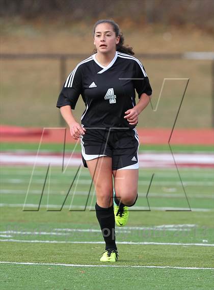 Thumbnail 2 in River Dell @ Wayne Hills (NJSIAA Playoffs) photogallery.