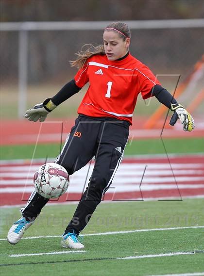 Thumbnail 3 in River Dell @ Wayne Hills (NJSIAA Playoffs) photogallery.