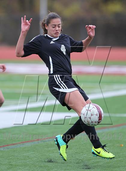Thumbnail 1 in River Dell @ Wayne Hills (NJSIAA Playoffs) photogallery.
