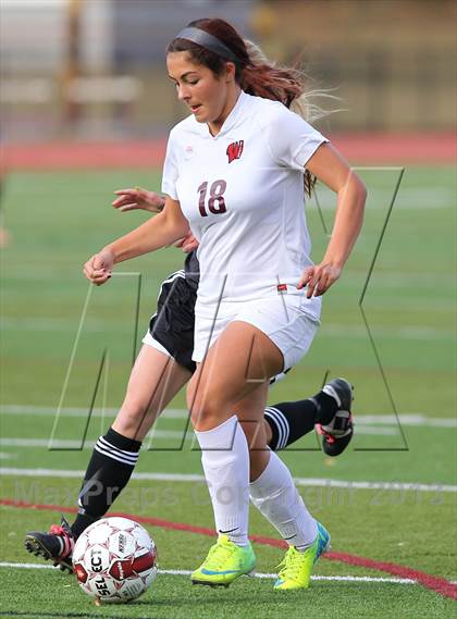 Thumbnail 2 in River Dell @ Wayne Hills (NJSIAA Playoffs) photogallery.