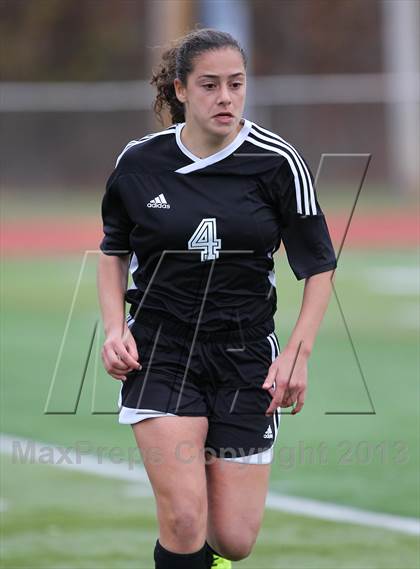 Thumbnail 2 in River Dell @ Wayne Hills (NJSIAA Playoffs) photogallery.
