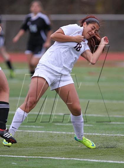 Thumbnail 1 in River Dell @ Wayne Hills (NJSIAA Playoffs) photogallery.