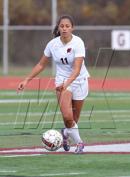 Thumbnail 2 in River Dell @ Wayne Hills (NJSIAA Playoffs) photogallery.