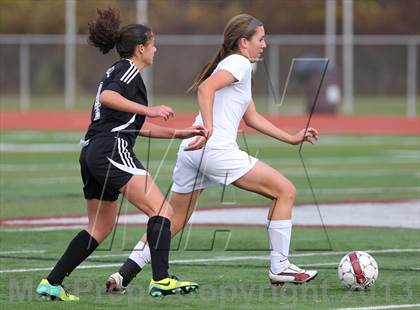 Thumbnail 2 in River Dell @ Wayne Hills (NJSIAA Playoffs) photogallery.