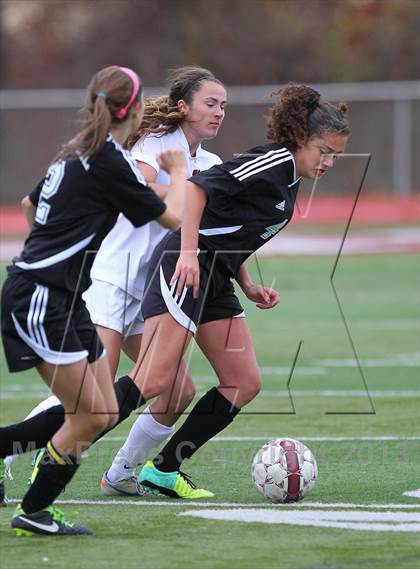 Thumbnail 2 in River Dell @ Wayne Hills (NJSIAA Playoffs) photogallery.