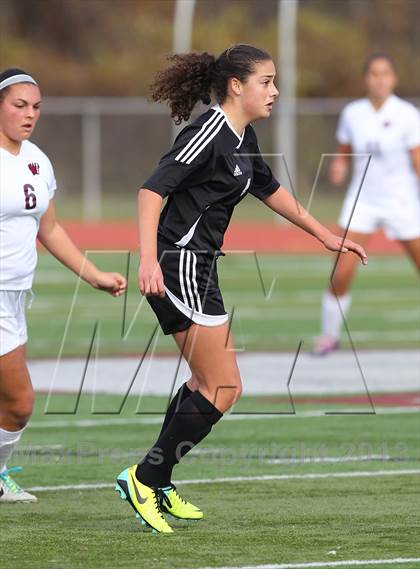 Thumbnail 1 in River Dell @ Wayne Hills (NJSIAA Playoffs) photogallery.