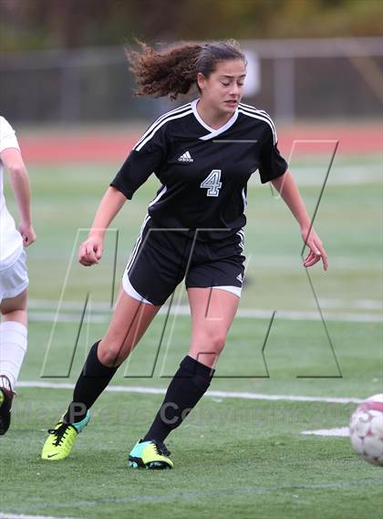 Thumbnail 1 in River Dell @ Wayne Hills (NJSIAA Playoffs) photogallery.