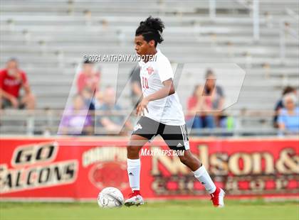 Thumbnail 2 in Hoke County @ Seventy-First photogallery.