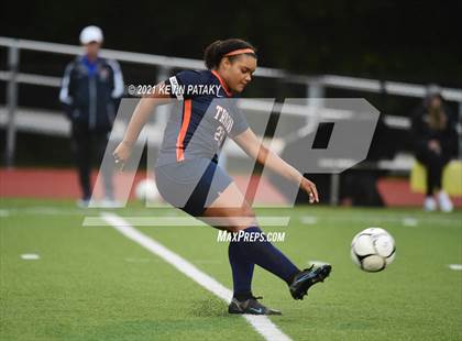 Thumbnail 1 in North Haven @ Lyman Hall photogallery.