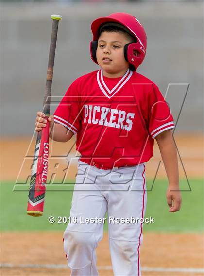 Thumbnail 1 in King vs. Robstown (UIL 4A Regional Quarterfinal) photogallery.