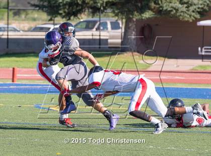 Thumbnail 3 in Eaglecrest @ Denver South photogallery.