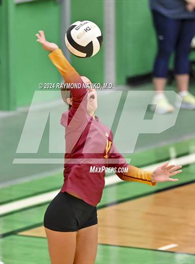 null - Photo 31