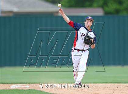 Thumbnail 3 in Birdville @ Allen photogallery.