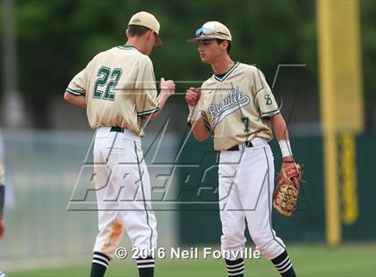 Thumbnail 3 in Birdville @ Allen photogallery.