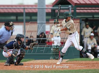 Thumbnail 3 in Birdville @ Allen photogallery.