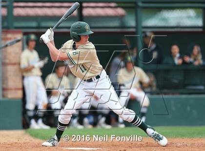 Thumbnail 1 in Birdville @ Allen photogallery.