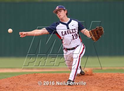 Thumbnail 1 in Birdville @ Allen photogallery.