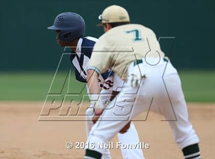 Thumbnail 2 in Birdville @ Allen photogallery.