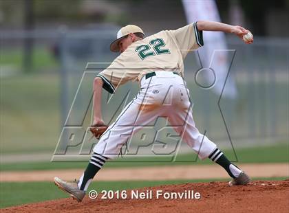 Thumbnail 1 in Birdville @ Allen photogallery.