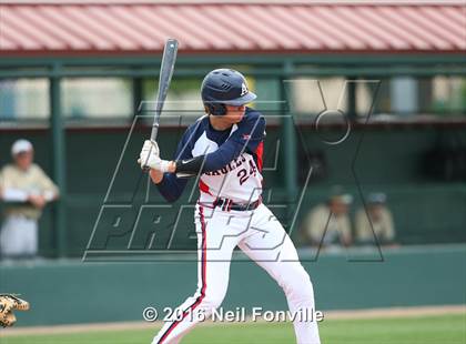 Thumbnail 1 in Birdville @ Allen photogallery.