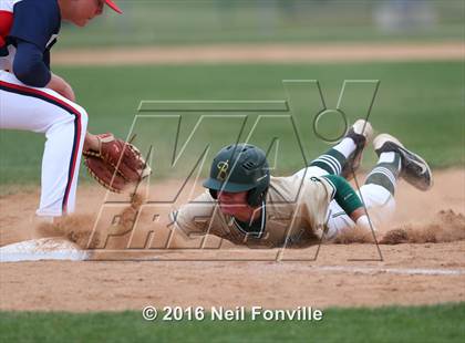 Thumbnail 2 in Birdville @ Allen photogallery.