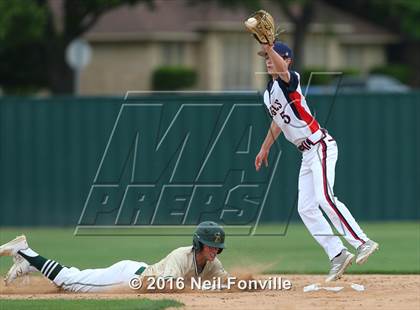 Thumbnail 1 in Birdville @ Allen photogallery.