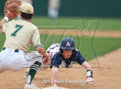Thumbnail 2 in Birdville @ Allen photogallery.