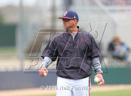 Thumbnail 1 in Birdville @ Allen photogallery.