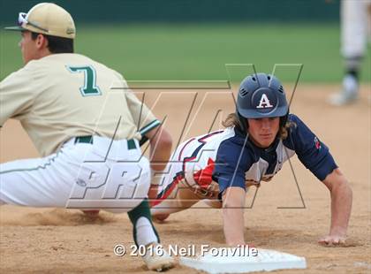 Thumbnail 3 in Birdville @ Allen photogallery.