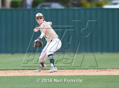 Thumbnail 1 in Birdville @ Allen photogallery.