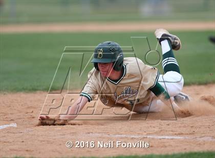 Thumbnail 1 in Birdville @ Allen photogallery.
