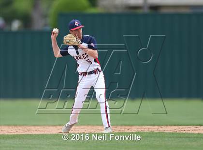 Thumbnail 3 in Birdville @ Allen photogallery.