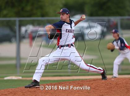 Thumbnail 3 in Birdville @ Allen photogallery.