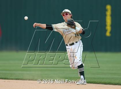 Thumbnail 1 in Birdville @ Allen photogallery.