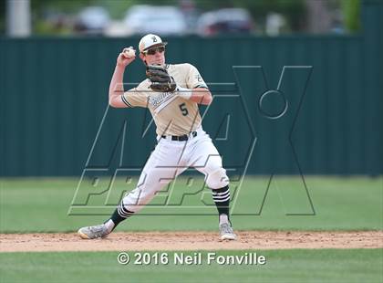 Thumbnail 1 in Birdville @ Allen photogallery.