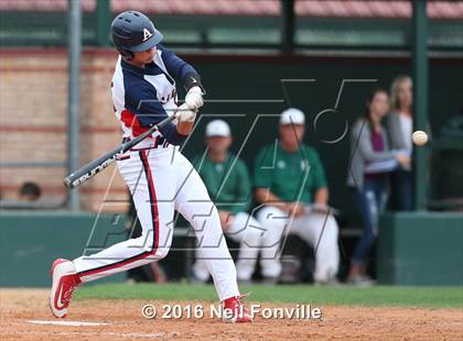 Thumbnail 2 in Birdville @ Allen photogallery.