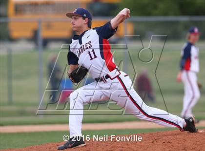 Thumbnail 1 in Birdville @ Allen photogallery.