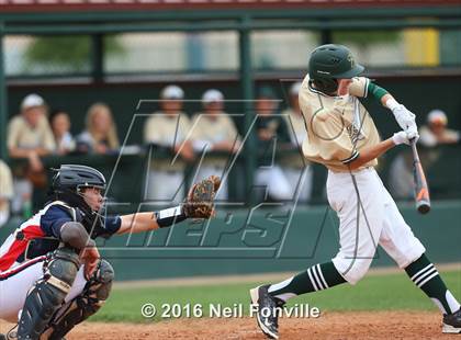 Thumbnail 1 in Birdville @ Allen photogallery.
