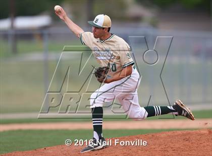 Thumbnail 1 in Birdville @ Allen photogallery.