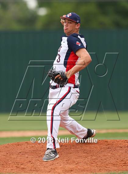 Thumbnail 3 in Birdville @ Allen photogallery.