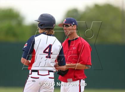 Thumbnail 3 in Birdville @ Allen photogallery.