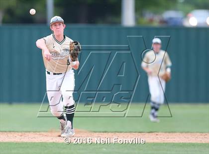 Thumbnail 3 in Birdville @ Allen photogallery.