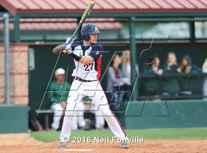 Thumbnail 3 in Birdville @ Allen photogallery.